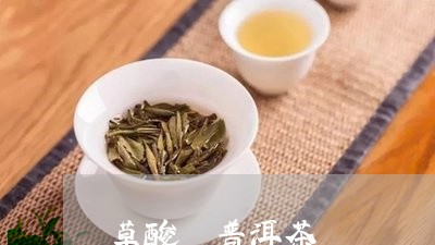 草酸 普洱茶/2023042875452